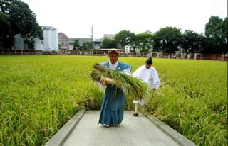 住吉大社 宝之市神事・升の市