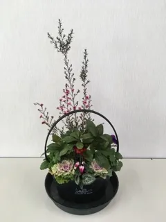 山野草の寄せ植え教室（12月）