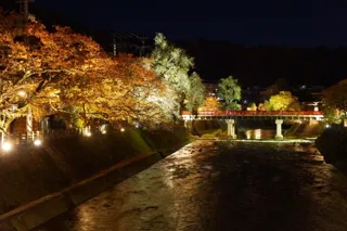 Autumn Nakabashi Light Up