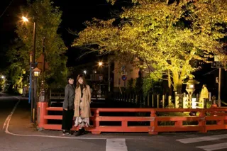 Autumn Enako River Light-Up