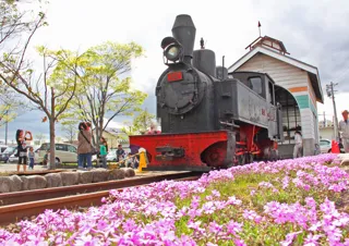 Imoko Train Open to the Public (October)