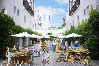 Yatsugatake Marche 2025
