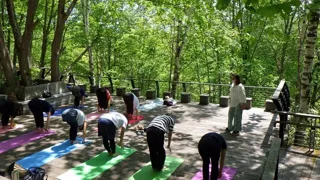 Takino Forest Yoga