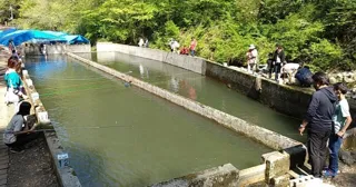 Rainbow Trout Fishing and Grilling on the Spot