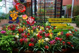 季節展示「盛夏の庭」