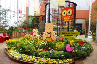 Seasonal Exhibition "Early Spring Garden"