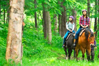 Rusutsu Resort Horseback Riding