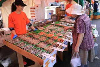 15th Echizen Fish Festival