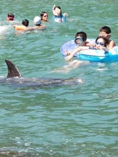Whale Encounter Beach