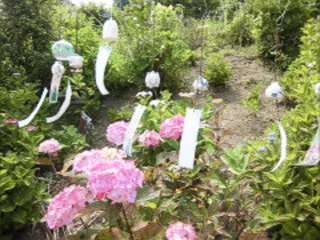 観音寺 風鈴祭り