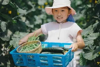 Summer Vegetable Harvest Experience/Agricultural Experience at a Farmer in Nerima Ward