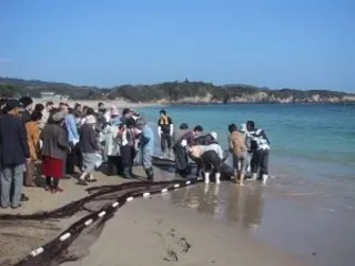 Oosatsu Beach seine fishing experience
