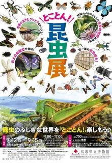 企画展　とことん！昆虫展