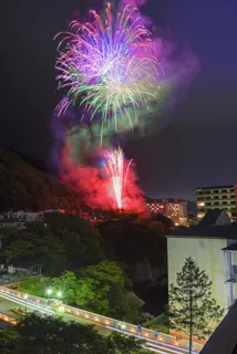 Hyakka Ryouran Hanabi ~Kinugawa Enka~