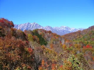 [Autumn Foliage / Peak Viewing] Koguma Mountain
