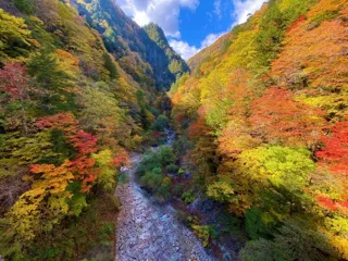 [Autumn Foliage] Takase Gorge