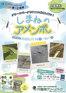宍道湖グリーンパーク夏の企画展 しまねのアメンボ