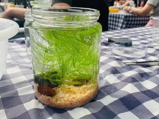 Bottle Aquarium Workshop
