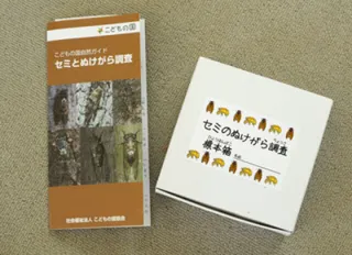 Cicada Exoskeleton Survey
