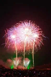 The 51st Yoshinogawa Festival Noryo Fireworks Festival