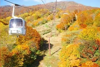[Autumn Colors - Best Viewing] Myoko Kogen Sky Cable