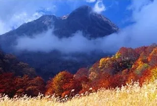 【紅葉・見ごろ】燕温泉