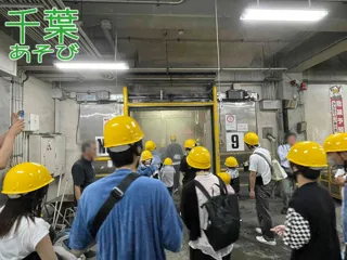 Chiba Play "Focus on Chiba City Wholesale Market! Fish Appraisal Course Taught by Professionals & -45℃ Freezer Experience"