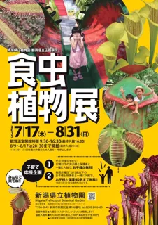 企画展示「食虫植物展」