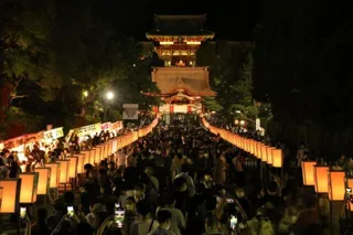 Bonbori Festival
