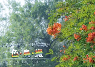 フラワーセンター野鳥写真展　色・鳥・撮-IroToriDori-