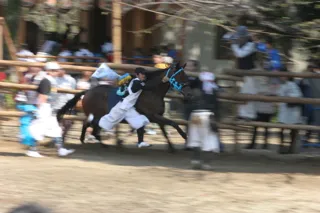 Nishio's Autumn Festival, Omaint Festival