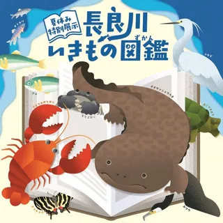 Special Exhibition "Nagara River Creatures Encyclopedia"