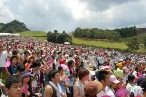 Exciting Summer in Wajiki 2025