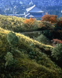 120th Anniversary of Taikichi Irie, Selected Works: 'Spring, Summer, Autumn, and Winter of the Yamato Road'
