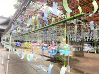 Wind Chime Festival ～Seeking Coolness in the Ancient Shrine～
