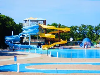Let's Go to Hamadey Park Pool!