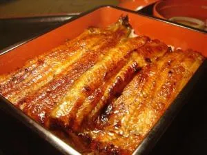 Unagi Nobori no Machi Narita Reiwa 7th Year Narita Unagi Festival
