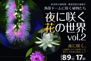 Special Exhibition 'Plants that Bloom in the Tropical Dome - A World of Flowers that Bloom at Night'