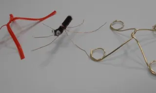 Summer Special Craft "Water Strider Craft"