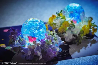 "The Little Prince" Summer Kids Experience Event Parent-Child Flower Workshop