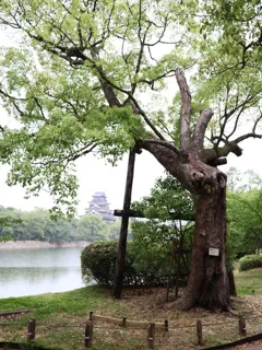 特別企画展ギャラリートーク