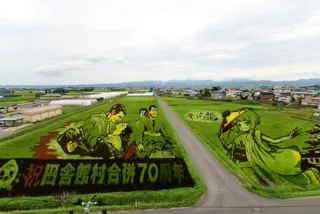 田舎館村　田んぼアート（第1田んぼアート）
