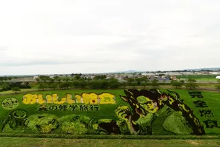 田舎館村　田んぼアート（第2田んぼアート）