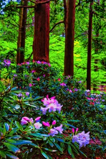 Tea Seed Photo Exhibition