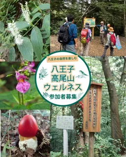 ハイキングガイドツアー「秋の草花を探して」