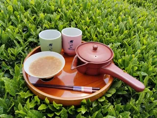 Nara Satoyama SUMMER Campaign 2025! Let's make roasted green tea with a hobo kettle and eat tea porridge!