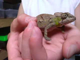 ジャングルハンターin沖縄