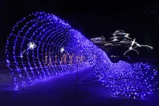 Light Hospitality in Matsuyama Castle 2025