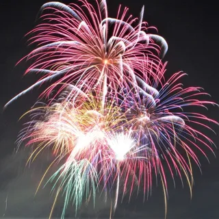 Yanai Bridge Sakai River Friendly Summer Festival