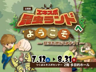 Special Exhibition 'Welcome to Expo Insect Land - Experience Insects!'
